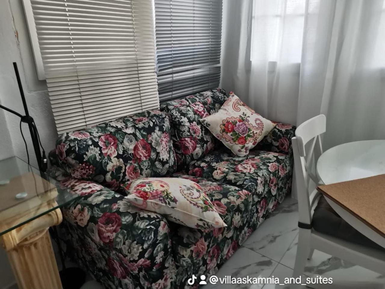 Villa Askamnia And Suites ニキティ エクステリア 写真
